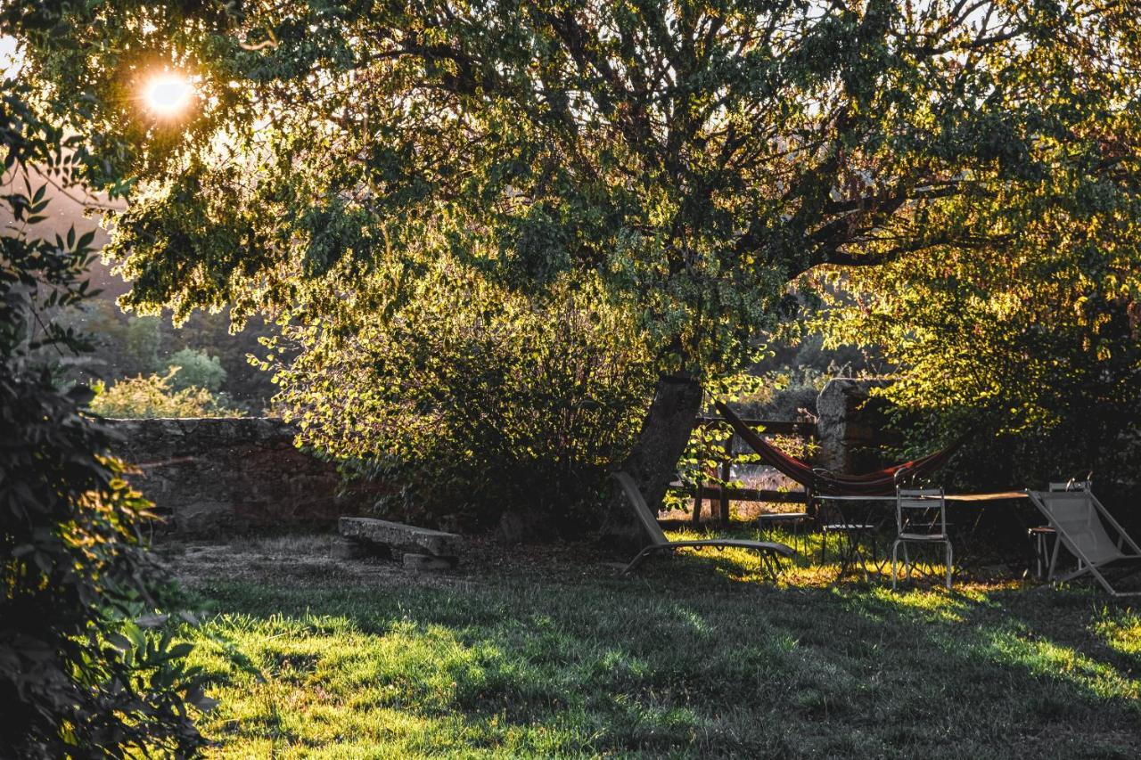 Tiny House Morvan Bourgogne Nature - 2H De Paris Bussieres  エクステリア 写真